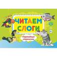 russische bücher: Сатаева Елена Владимировна - Читаем слоги. Перекидные странички.
