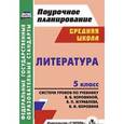 russische bücher: Карасева Ирина Владимировна - Литература. 5 класс: система уроков по учебнику