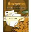 russische bücher: Солодова Елена Александровна - Биология. Разнообразие живой природы. Вирусы, бактерии, грибы, растения, животные. В 3 частях. Часть 2