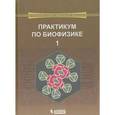 russische bücher: Рубина А.Б. (Лунева О.Г.) - Практикум по биофизике. Учебник. В 2 частях. Часть 1
