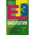 russische bücher: Заяц Р. Г. - Биология в таблицах, схемах и рисунках. Пособие для подготовки к ЕГЭ