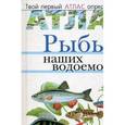 russische bücher: Бровкина Евгения Тихоновна - Атлас: Рыбы наших водоемов