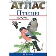 russische bücher: Бровкина Евгения Тихоновна - Атлас: Птицы леса