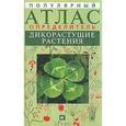 russische bücher: Новиков Владимир Иванович - Популярный атлас-определитель. Дикорастущие растения
