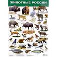 russische bücher:  - Плакат "Животные России. Красная книга"