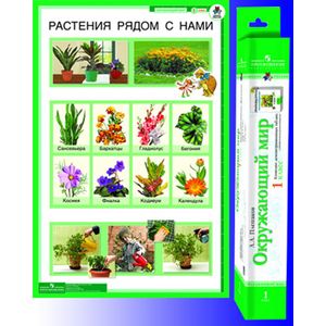 russische bücher: Плешаков Андрей Анатольевич - Окружающий мир 1кл. Комплект  демонстрационных таблиц