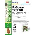 russische bücher: Преображенская Наталья Викторовна - Рабочая тетрадь по биологии. 5 класс. К учебнику В.В. Пасечника "Биология. 5 класс"