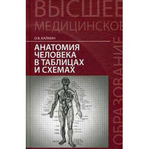 russische bücher: Калмин О.В. - Анатомия человека в таблицах и схемах. Учебное пособие