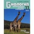 russische bücher: Теремов Александр Валентинович - Биология. Биологические системы и процессы. 11 класс