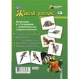 russische bücher:  - Комплект из 4 тематических плакатов. Живой уголок. + Методическое пособие