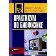 russische bücher: Антонов Валерий Федорович - Практикум по биофизике