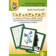 russische bücher:  - Мир растений. Упражнения на проверку знаний дошкольников при ознакомлении с окружающим миром