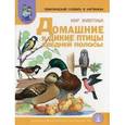 russische bücher: Васильева Светлана Александровна - Тематический словарь в картинках. Книга 2. Мир животных. Домашние и дикие птицы средней полосы