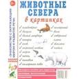 russische bücher:  - Животные севера в картинках. Наглядное пособие для педагогов, логопедов, воспитателей и родителей