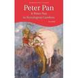 russische bücher: Barrie James Matthew - Peter Pan