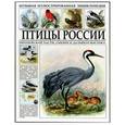 russische bücher:  - Птицы России.Европейской части, Сибири и Дальнего Востока