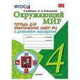 russische bücher: Тихомирова Елена Михайловна - Окружающий мир. 4 класс. Тетрадь для практических работ №2. С дневником наблюдений. К учебнику А.А. Плешакова "Окружающий мир. 4 класс". К новому учебнику