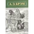 russische bücher: Брэм А. - Млекопитающие А-Г