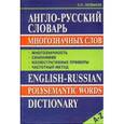 russische bücher: Литвинов Павел Петрович - Словарь Англо-русский многозначных слов