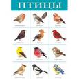 russische bücher:  - Плакат "Птицы" (2088)