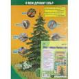 russische bücher:  - Комплект плакатов. Лес - наше богатство. 4 плаката. ФГОС