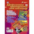 russische bücher:  - Профилактика правонарушений среди школьников. Комплект из 4 плакатов с методическим сопровождением