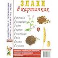 russische bücher:  - Злаки в картинках. Наглядное пособие для педагогов, логопедов, воспитателей и родителей