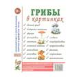 russische bücher:  - Грибы в картинках. Наглядное пособие для педагогов, логопедов, воспитателей и родителей