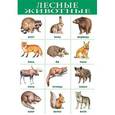 russische bücher:  - Плакат "Лесные животные" (1919)