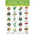 russische bücher:  - Плакат. 2093 Дары леса