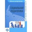 russische bücher: Альжев Д.В. - Социальная педагогика: шпаргалка
