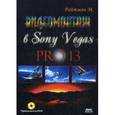 russische bücher: Райтман Михаил Анатольевич - Видеомонтаж в Sony Vegas PRO 13