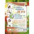 russische bücher:  - Наглядно-тематический комплект. Календарь погоды. Лето