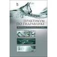 russische bücher: Козырь И.Е., Пикалова И.Ф., Ха - Практикум по гидравлике