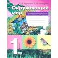 russische bücher: Чудинова Елена Васильевна - Окружающий мир. 1 класс. Проверочные работы