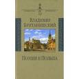 russische bücher: Британишский Владимир Львович - Поэзия и Польша. Путешествие длиной полжизни