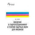 russische bücher: Райзер Юрий Петрович - Лекции по уравнениям и методам математической физики