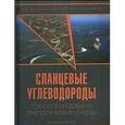 russische bücher: Тетельмин Владимир Владимирович - Сланцевые углеводороды. Технологии добычи. Экологические угрозы