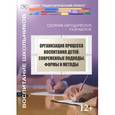 russische bücher: Степанов Евгений Николаевич - Организация процесса воспитания детей. Современные подходы, формы и методы