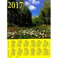 russische bücher:  - Календарь 2017 "Родной пейзаж" (90720)