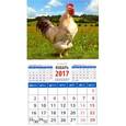 russische bücher:  - Календарь 2017 "Год петуха. Ку-ка-ре-ку" на магните