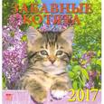 russische bücher:  - Календарь  настенный2017. Забавные котята