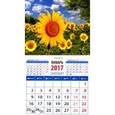 russische bücher:  - Календарь 2017 "Пейзаж с подсолнухами"