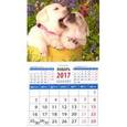russische bücher:  - Календарь 2017 "Забавные щенки"