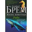 russische bücher: Брем Альфред Эдмунд - Жизнь животных. Рыбы