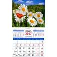 russische bücher:  - Календарь 2017 "Пейзаж с бабочкой и ромашками"
