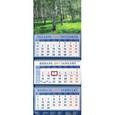 russische bücher:  - Календарь 2017 "Березовая роща" (14751)