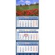 russische bücher:  - Календарь 2017 "Пейзаж с маками. Тоскана" (14763)