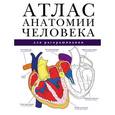 russische bücher: Абрахамс П. - Атлас анатомии человека для раскрашивания