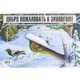 russische bücher: Воронкевич Ольга Алексеевна - Добро пожаловать в экологию. Серия демонстрационных картин для занятий с детьми 4-5 лет
